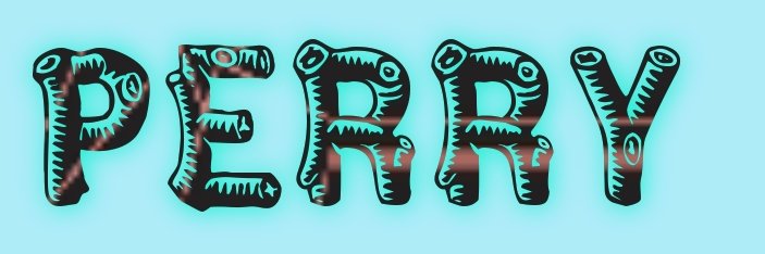ᴍʏ ᴘᴇʀʀʏ ꜰᴀᴍɪʟʏ's banner