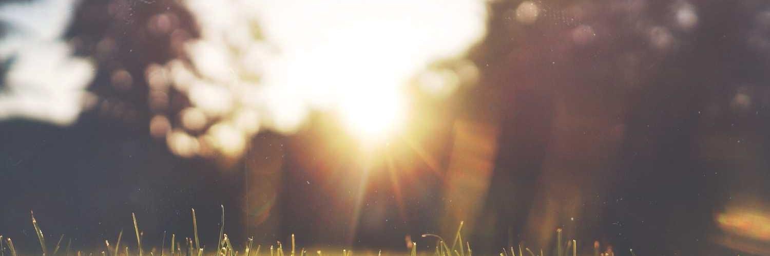 大熊爱狗狗's banner