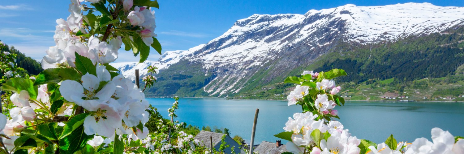 Visit Norway's banner