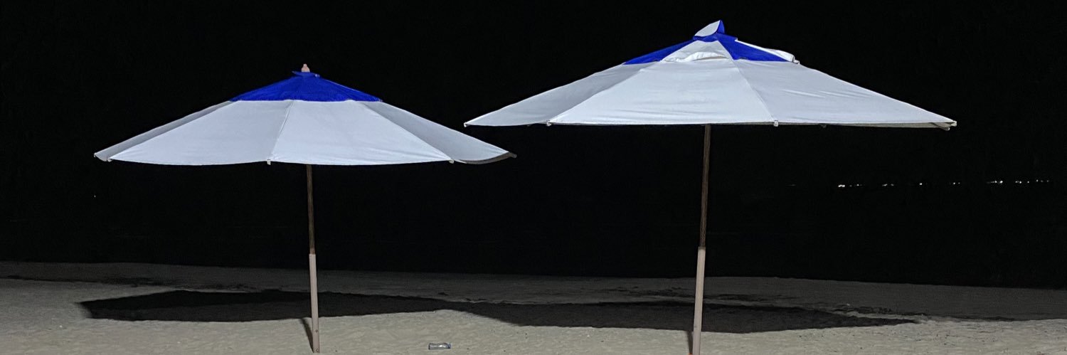 Léo Albertim's banner