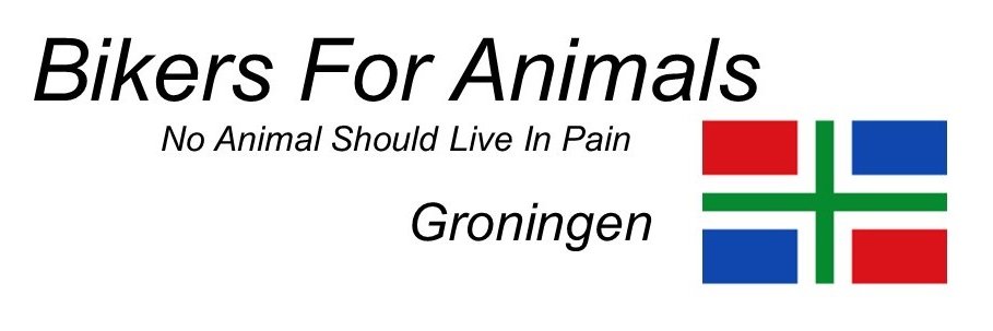 René Perdok 🐾Perdoggy🐇 BFA Groningen 🐔's banner