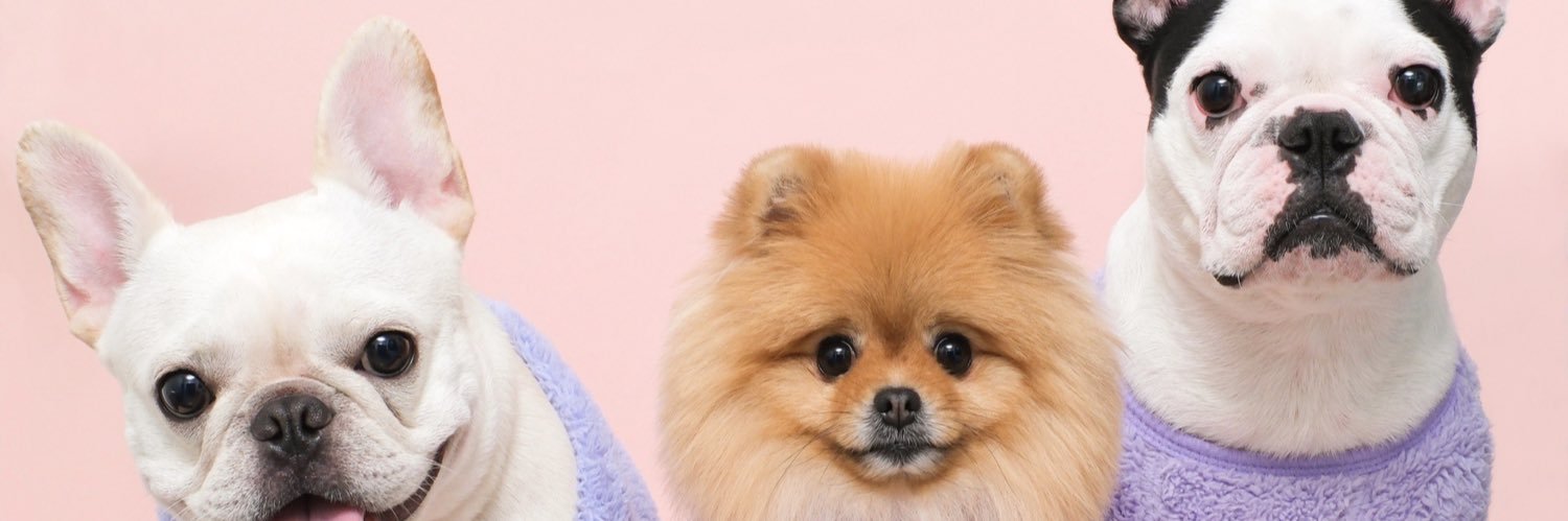 drmydrm's banner