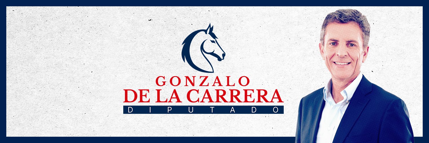 @carreragonzalo's banner