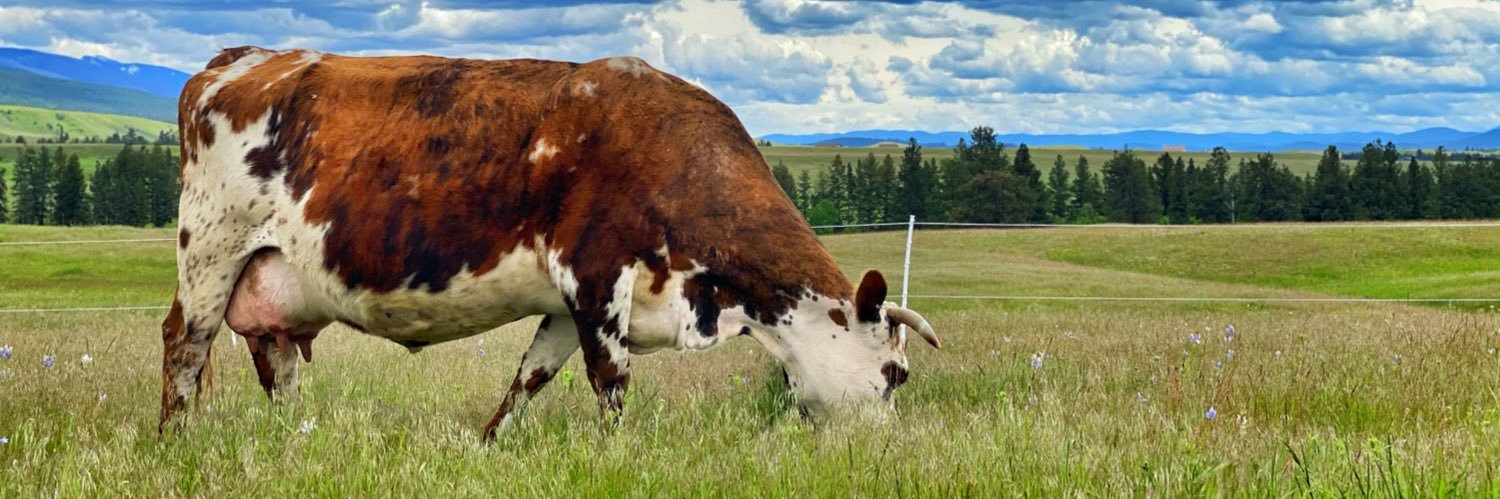 Bull Respecter's banner