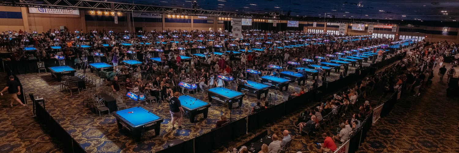 APA Pool League's banner