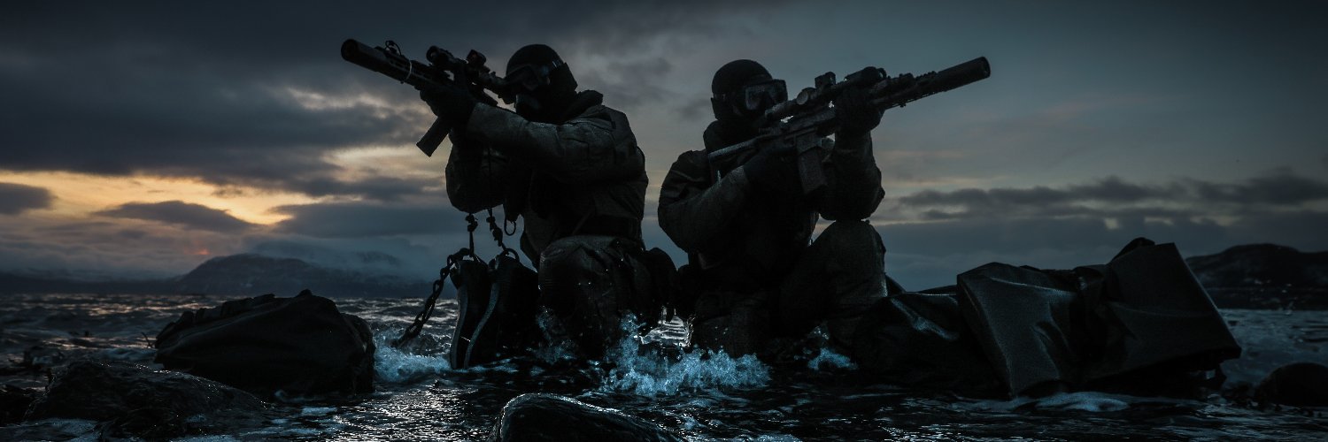 Royal Marines's banner