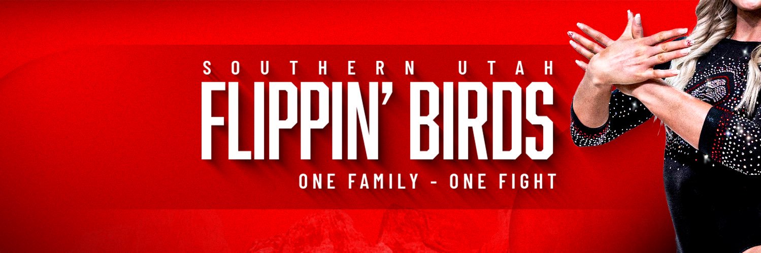 SUU Gymnastics's banner