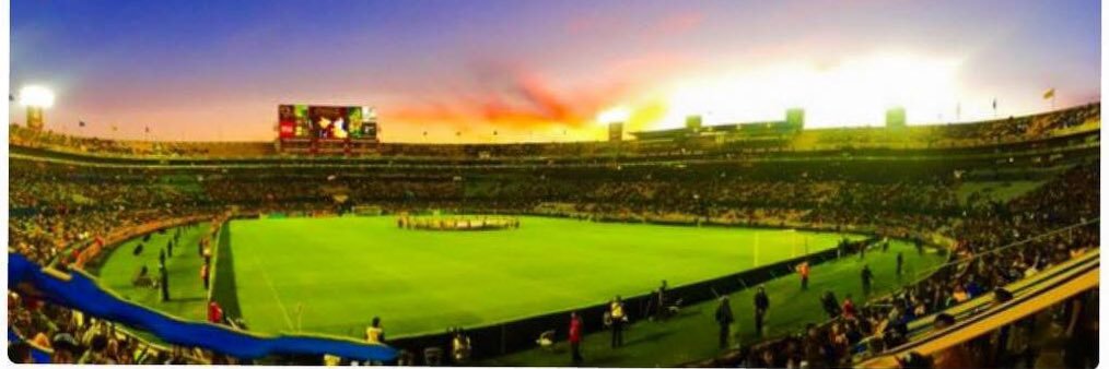 Yoly 🐝 👑's banner