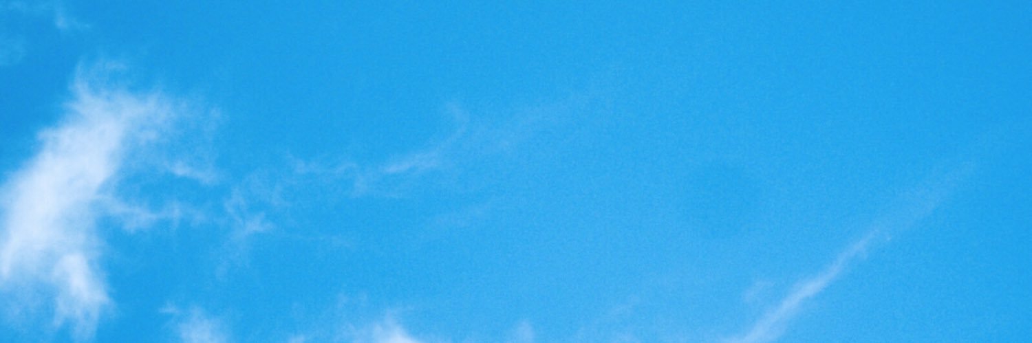 paula 🌻's banner