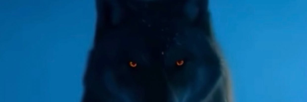 JEFE's banner