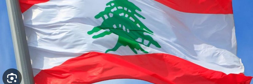 Dani Ayoub's banner