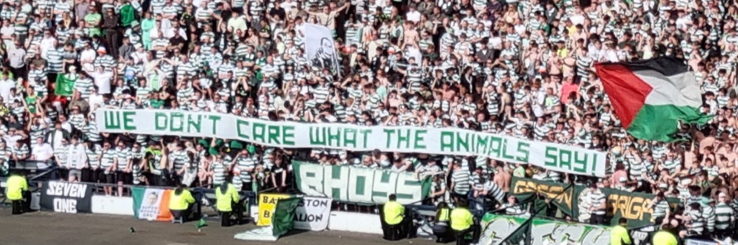 dan's banner