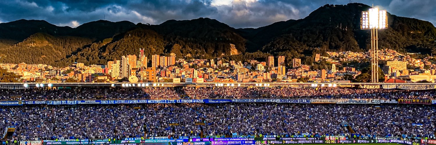 Juan Bee's banner