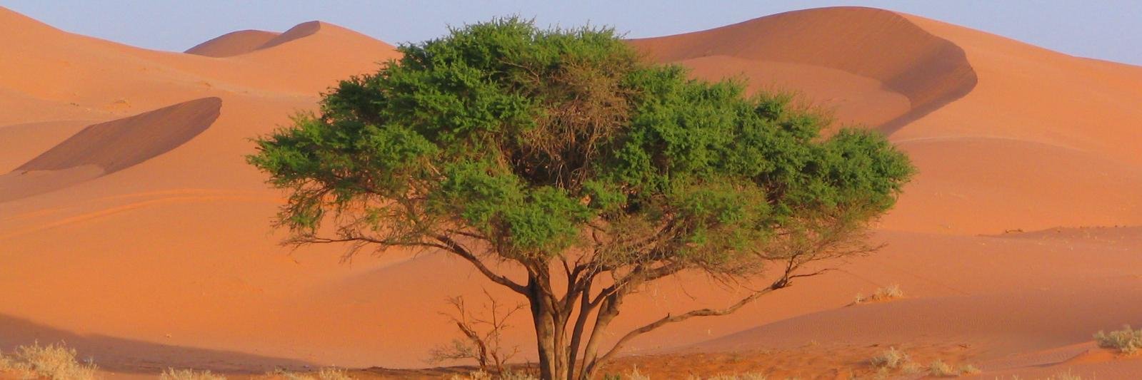 عبدالسلام السلمان's banner