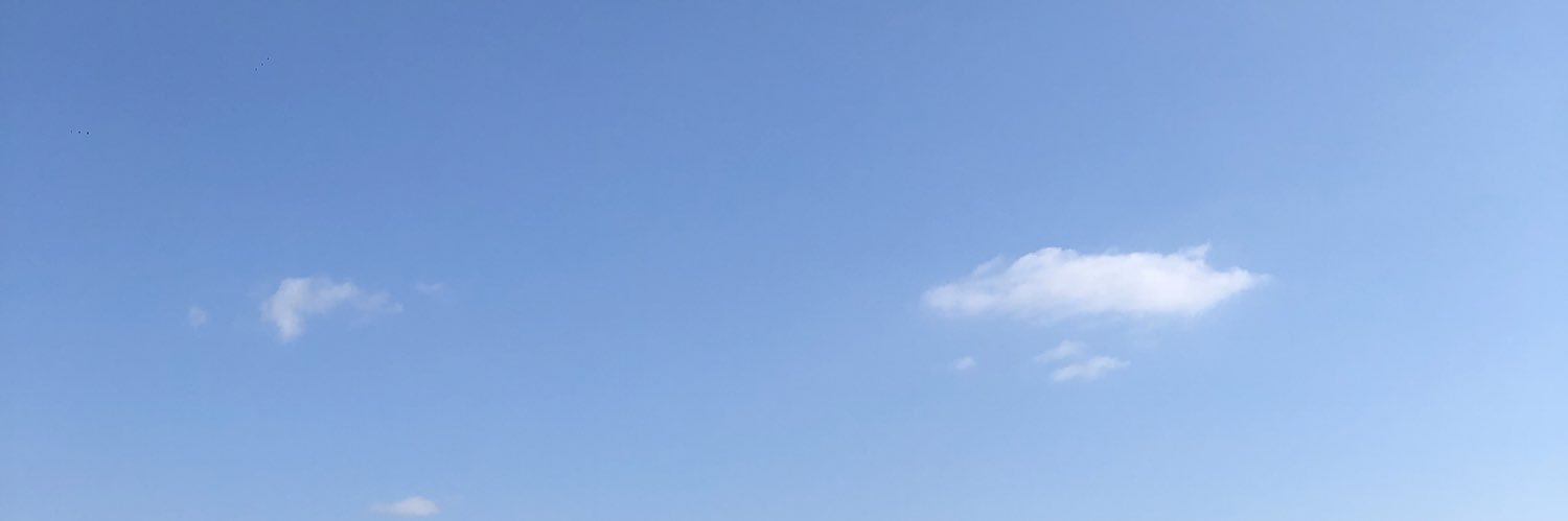 K.'s banner