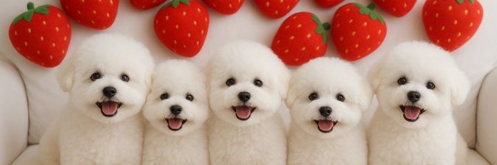 ラッキーちゃん♡'s banner