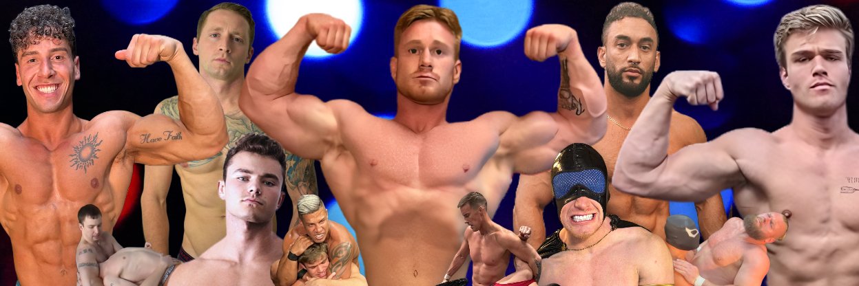 Wrestler4Hire's banner