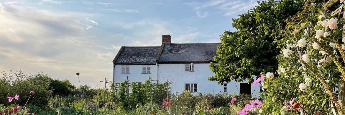 Hugh Fearnley-Whittingstall's banner