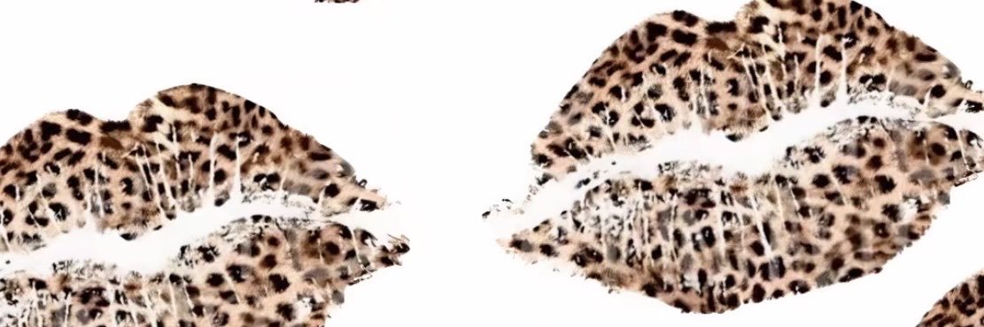 divinemoniquee🍒's banner