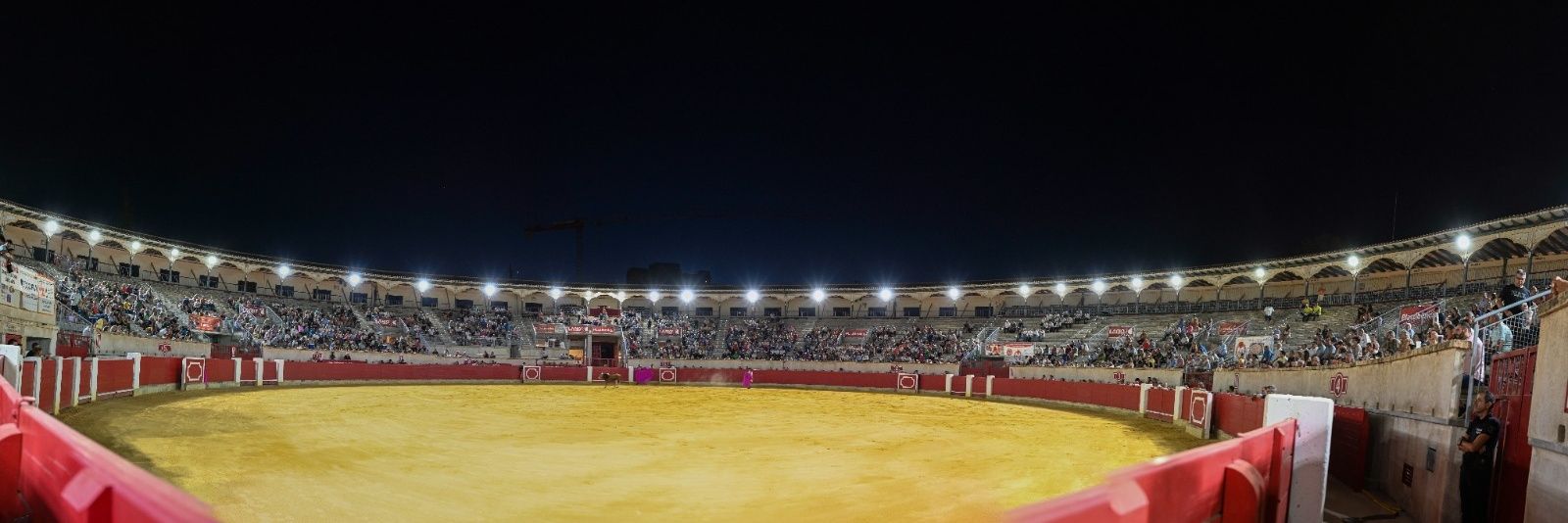 Fran Pérez's banner