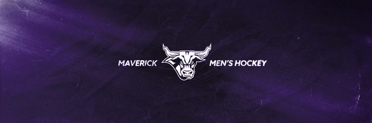 Minnesota State Hockey's banner