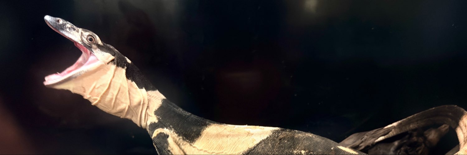 BIG IN's banner