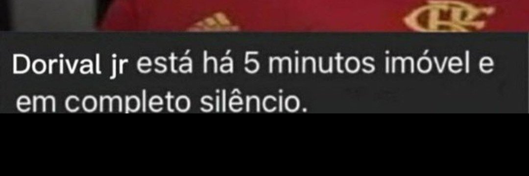 Urubu do Pix❖𓅂's banner