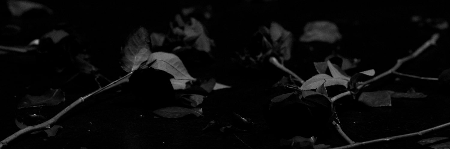 SoMo's banner