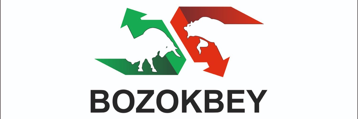🇹🇷BOZOKBEY🇹🇷's banner