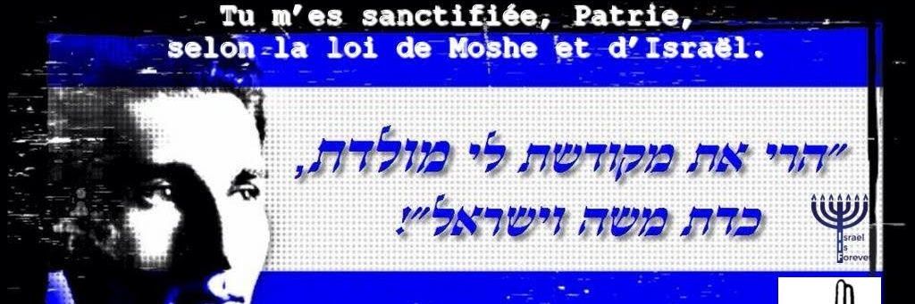 🇫🇷🇮🇱(((MOÏSE)))#WITHISRAËL🇮🇱🇫🇷🎗FQSP🎗's banner