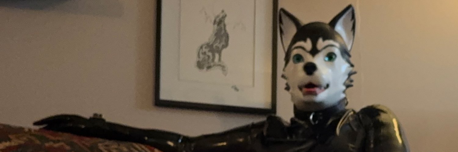 Sheen / Rusty / RoukiPup's banner