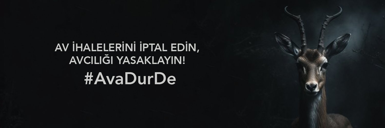 Vegan Derneği Türkiye's banner