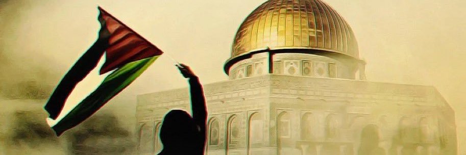 Amir Teima's banner