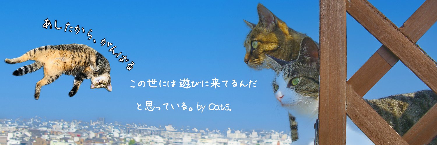 にゃぱねっと♂'s banner