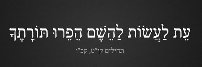 שחף's banner