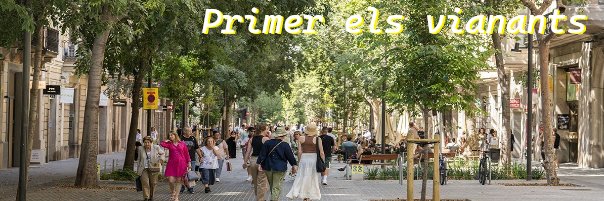Nicia 🌍🚲🚋🚍🚇🌳's banner