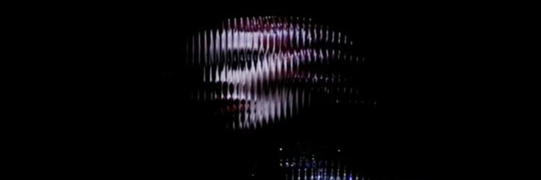 Daphne Guinness's banner