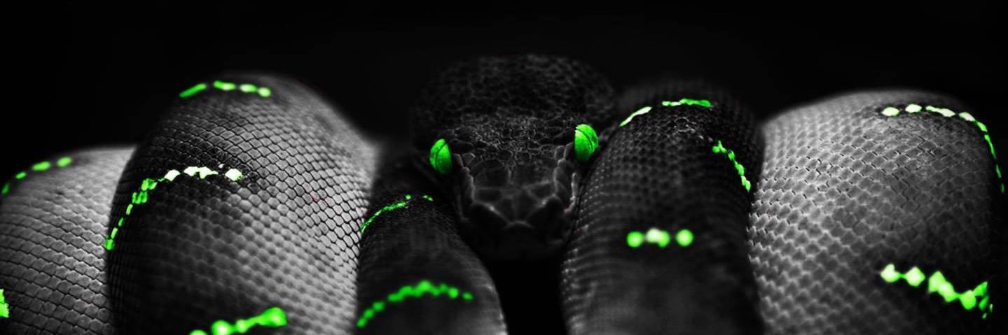 Justin Ford 🐍's banner