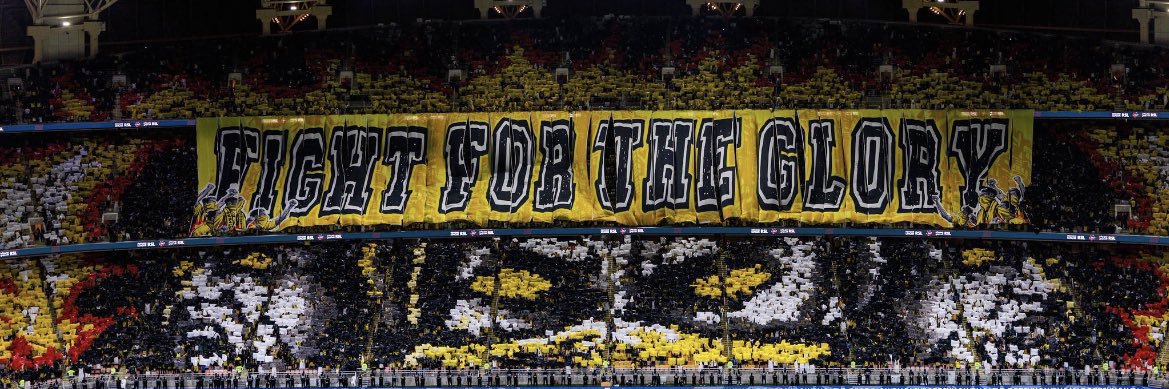 Fox ⭐️⭐️⭐️'s banner