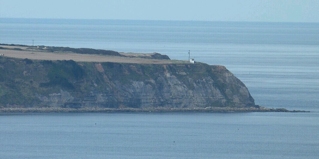 Long Nab Birder's banner