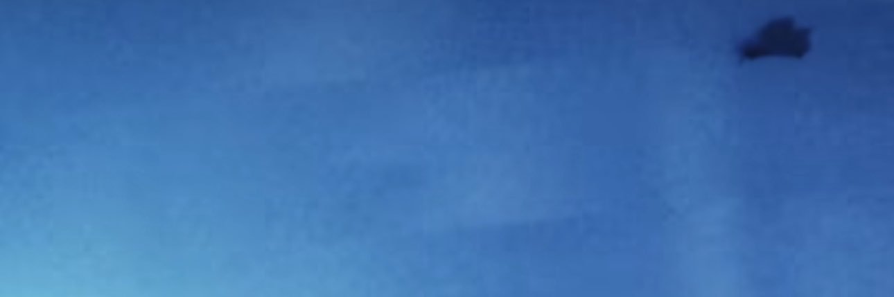 g🌊 tempo's banner