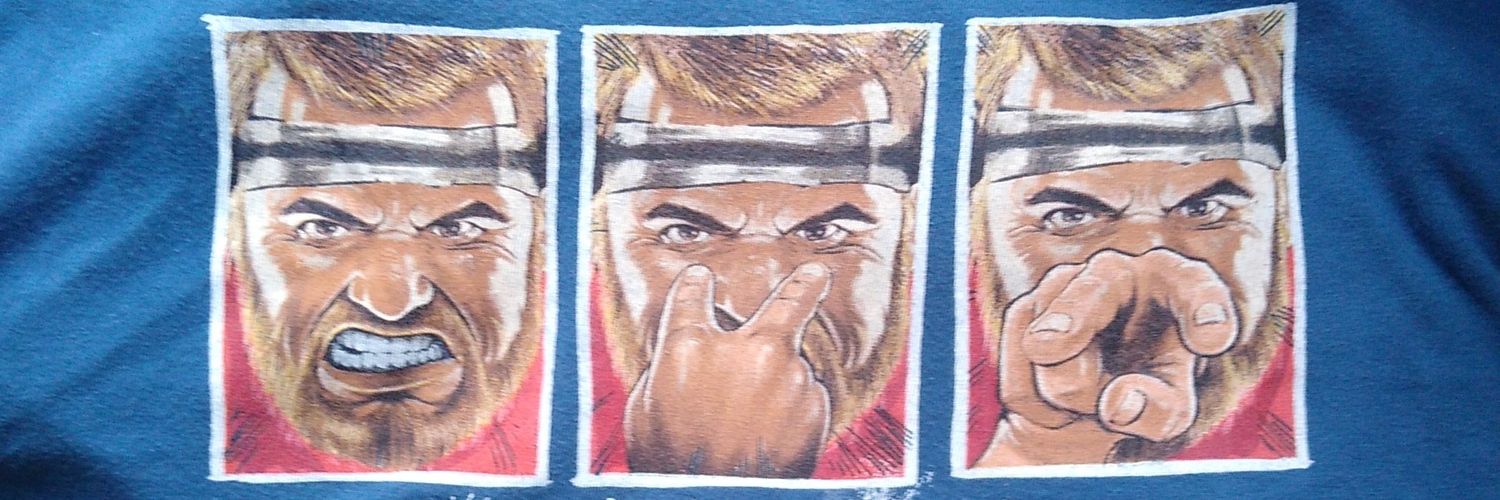Lagunero's banner