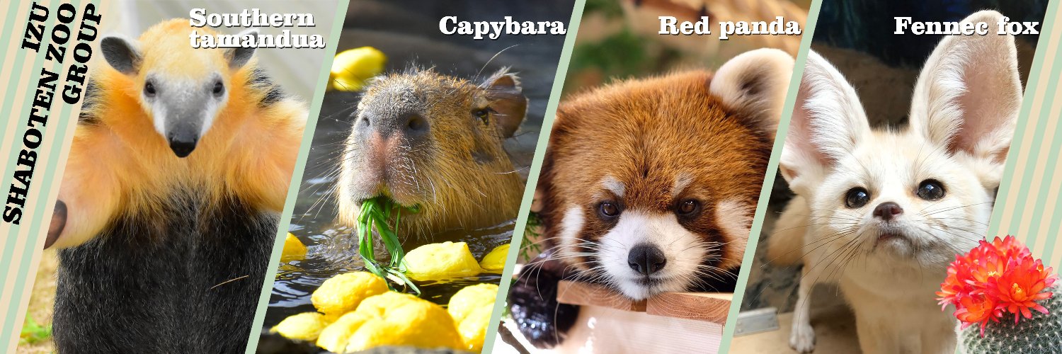 伊豆シャボテン動物公園グループ【公式】's banner