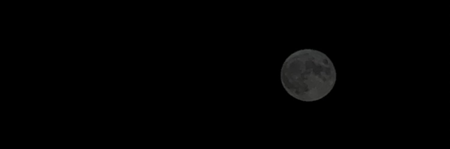 b's banner