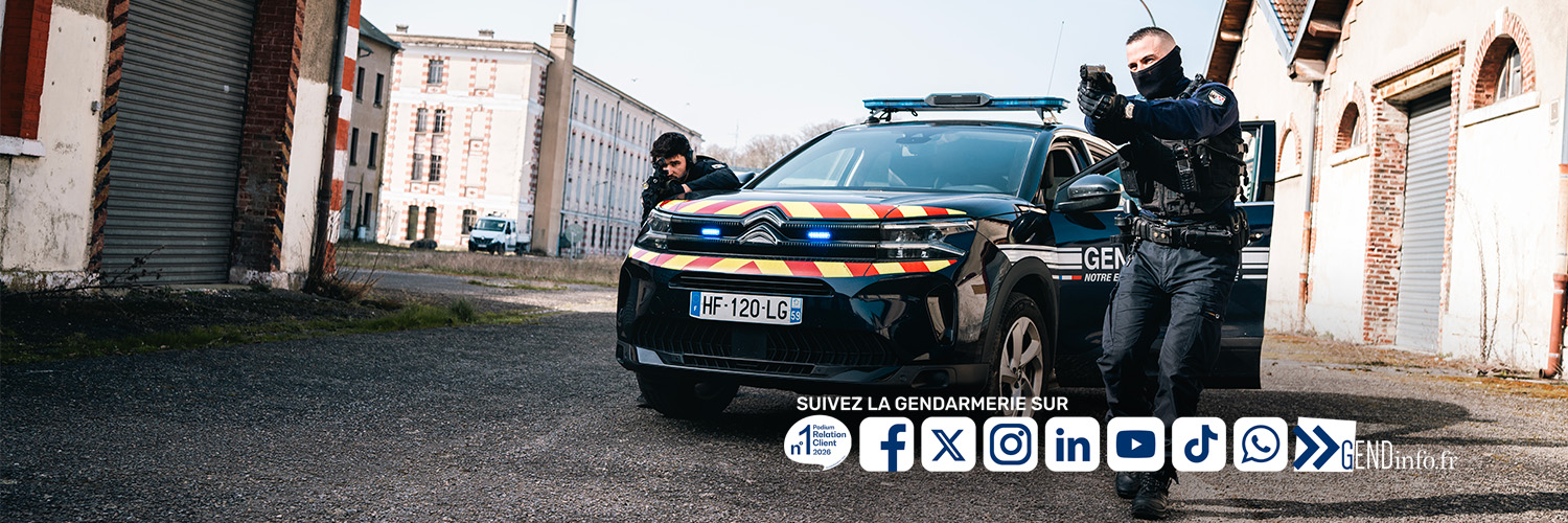 Gendarmerie nationale's banner