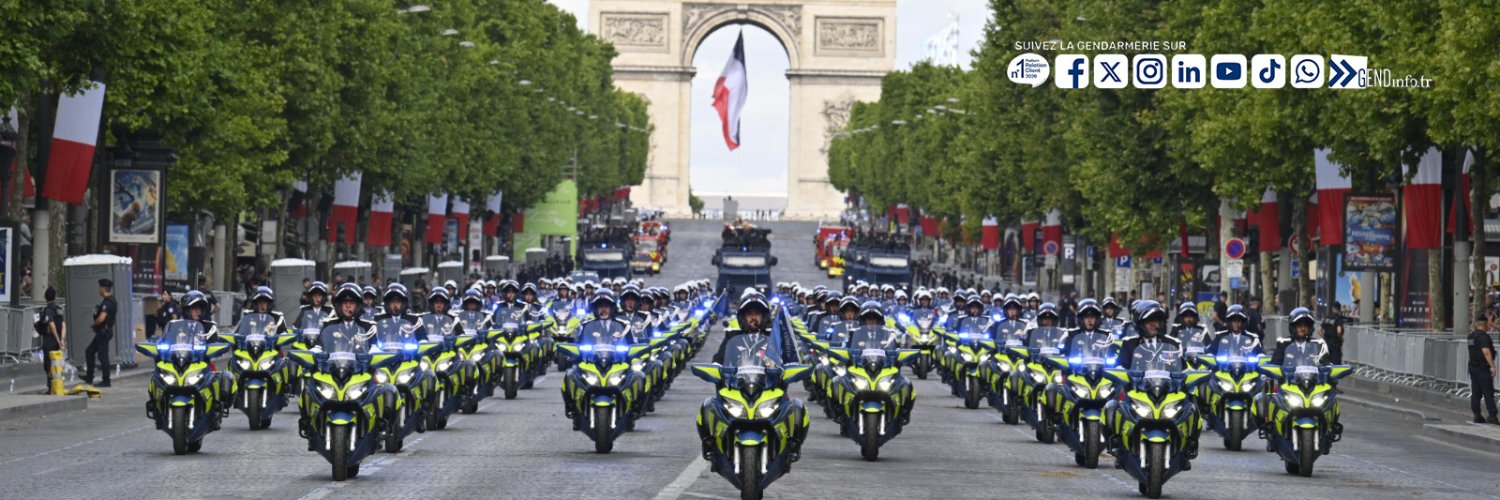 Gendarmerie nationale's banner