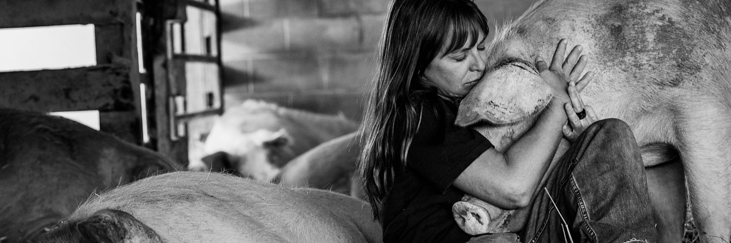 Animal Aid's banner