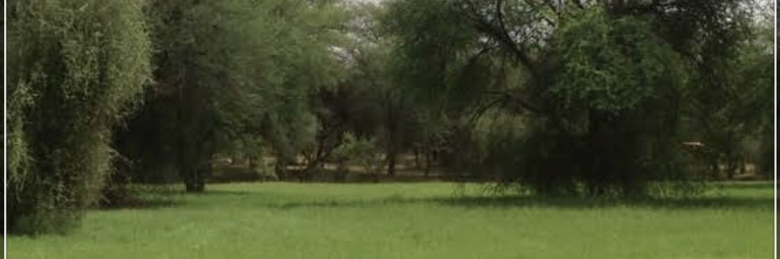 إبراهيم الدويري's banner