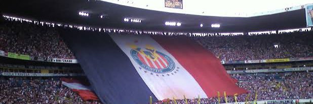 Ricardo Flores's banner