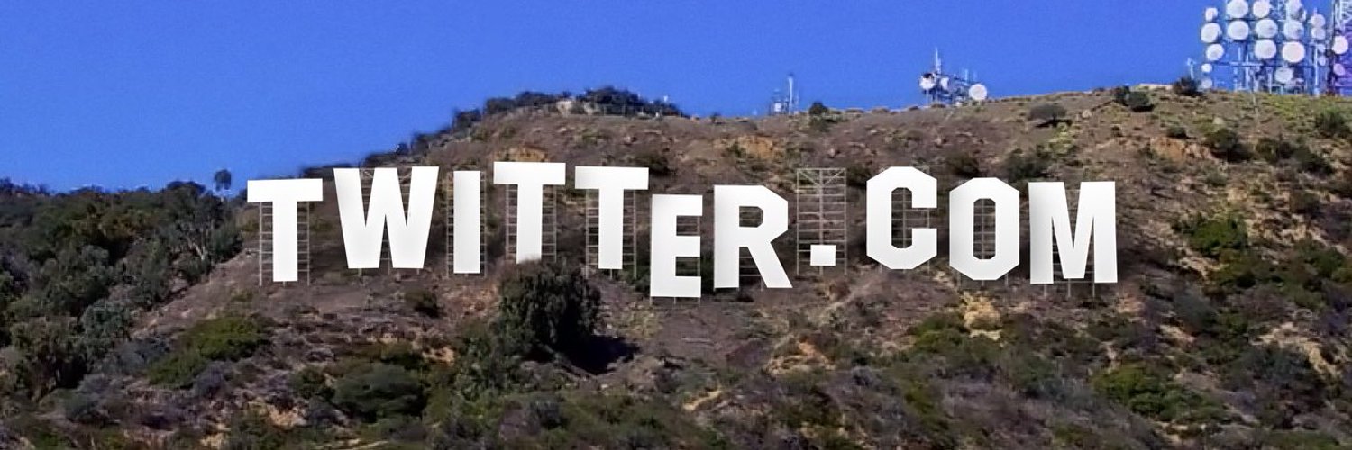 katy wellhousen's banner